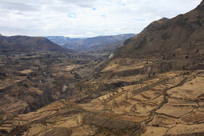 935-Canyon del Colca,15 luglio 2013.JPG